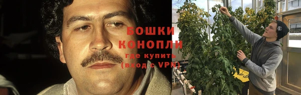 каннабис Магас