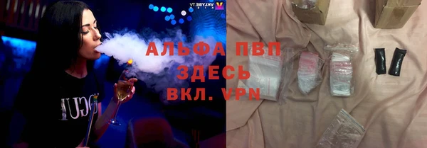 сатива Липки