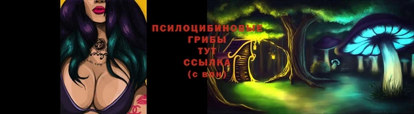 тгк Лиски