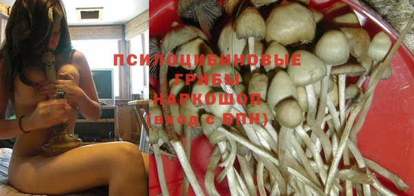 тгк Лиски