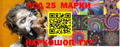 гидропоника Гусиноозёрск