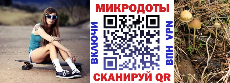 Псилоцибиновые грибы мицелий  Миллерово 