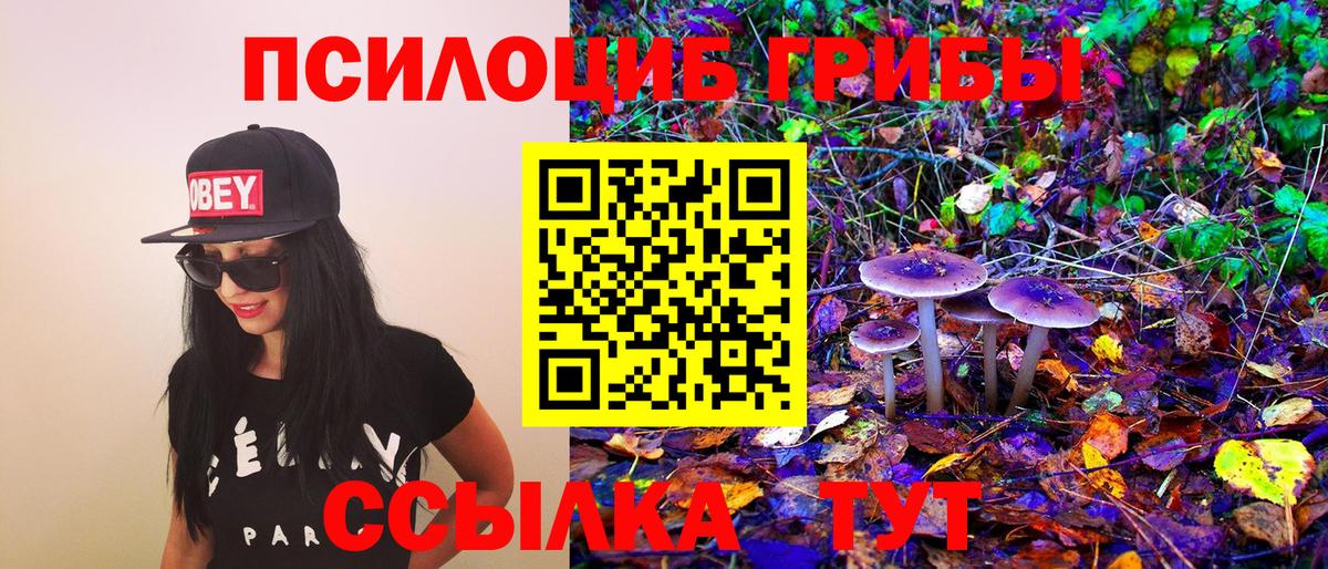 Псилоцибиновые грибы Psilocybine cubensis  Псилоцибиновые грибы GOLDEN TEACHER  Миллерово  сколько стоит  Вход с VPN 